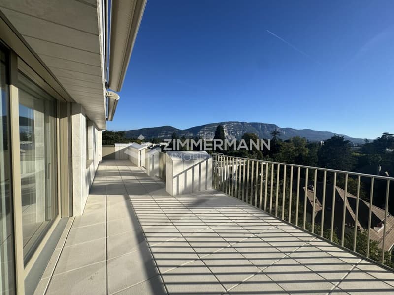 Superbe Attique Grange-Canal en Société Immobilière (SI) (2)
