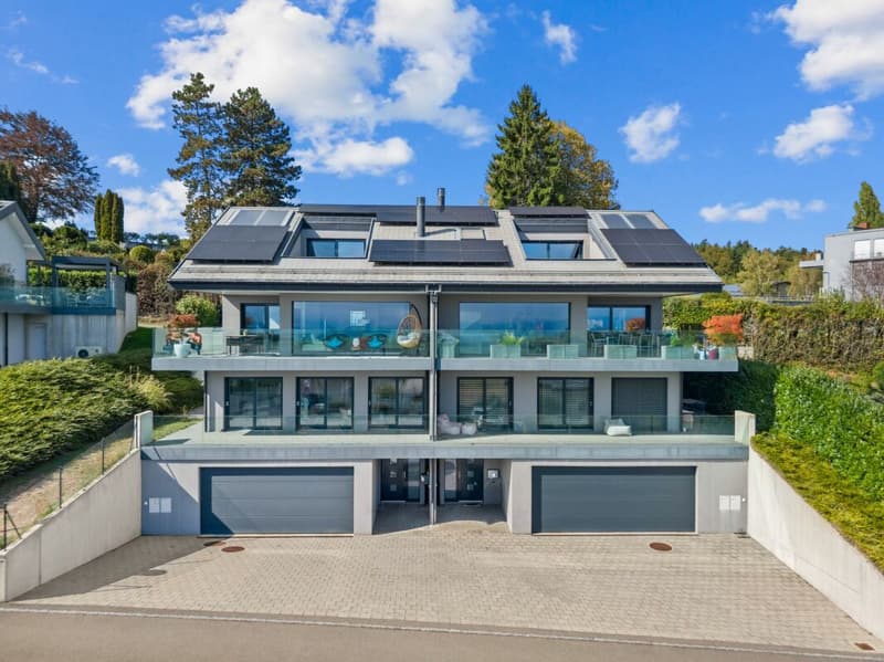 Villa contemporaine avec vue panoramique sur le Léman et les Alpes (4)