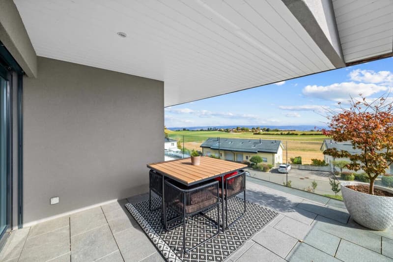 Villa contemporaine avec vue panoramique sur le Léman et les Alpes (19)