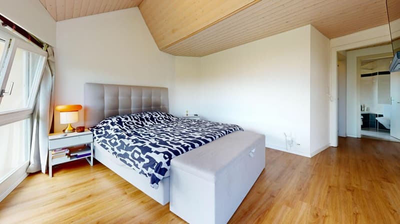 Villa idéale pour famille avec appartement indépendant de 2 pièces copie (31)