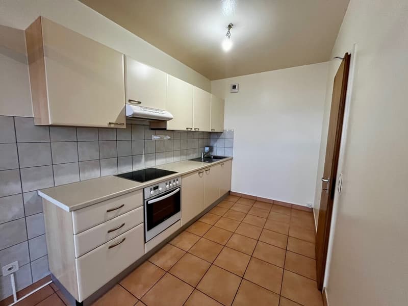 Cross-Through Apartment with 5 Rooms (4)