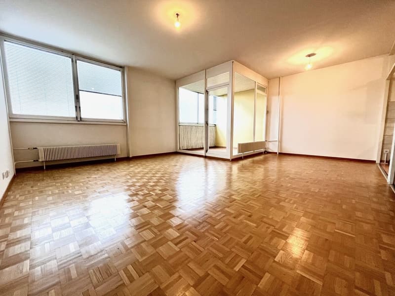 Cross-Through Apartment with 5 Rooms (1)