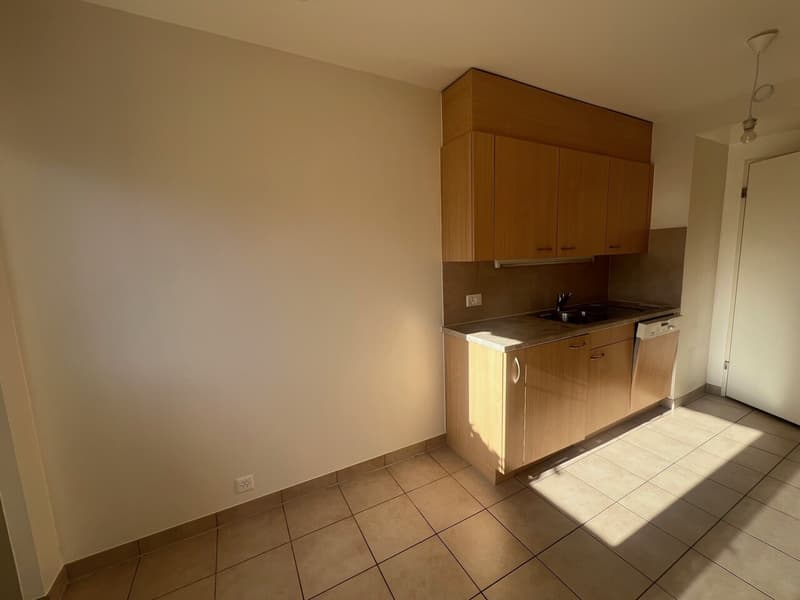 Appartement de 4 pièces avec terrasse et jardin (6)
