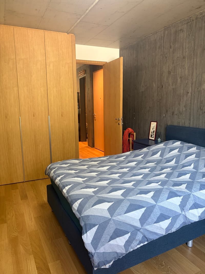 Appartement traversant de 3 pièces avec terrasse et jardin (2)