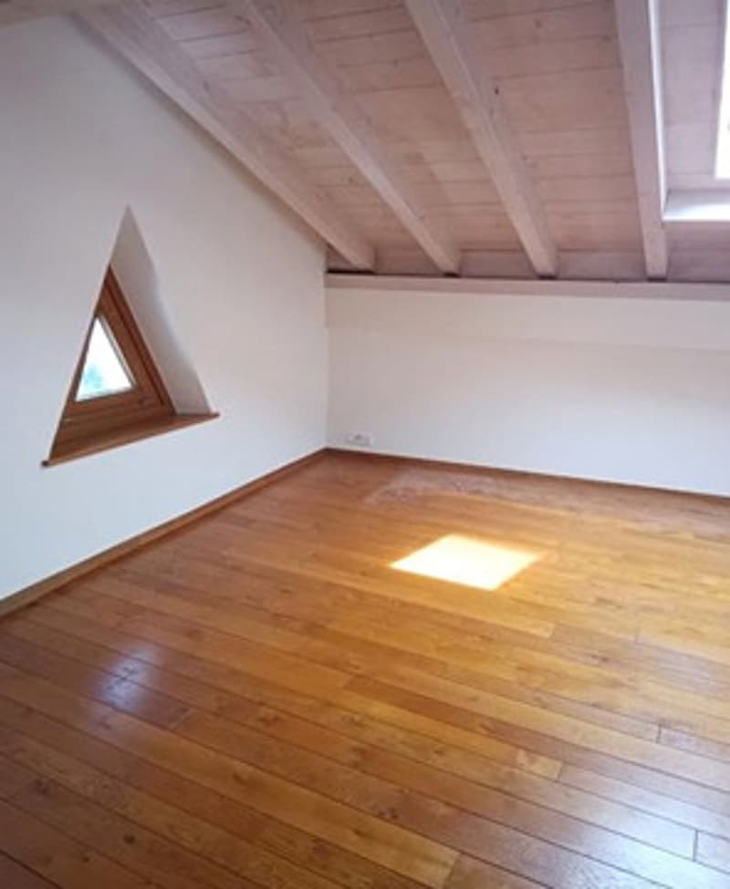 Joli triplex sur la commune de Plan-les-Ouates (5)