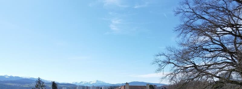 Le Residenze "Mont-Blanc" a Friburgo (9)