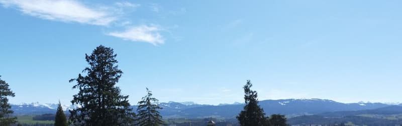 Le Residenze "Mont-Blanc" a Friburgo (11)