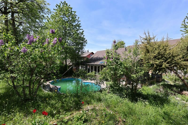 Exclusive - Charming 7.5 room house with 2'000 m2 plot (5)