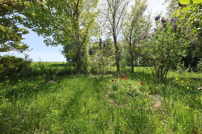 Exclusive - Charming 7.5 room house with 2'000 m2 plot (6)