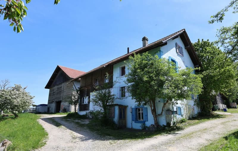 Exclusive - Charming 7.5 room house with 2'000 m2 plot (1)
