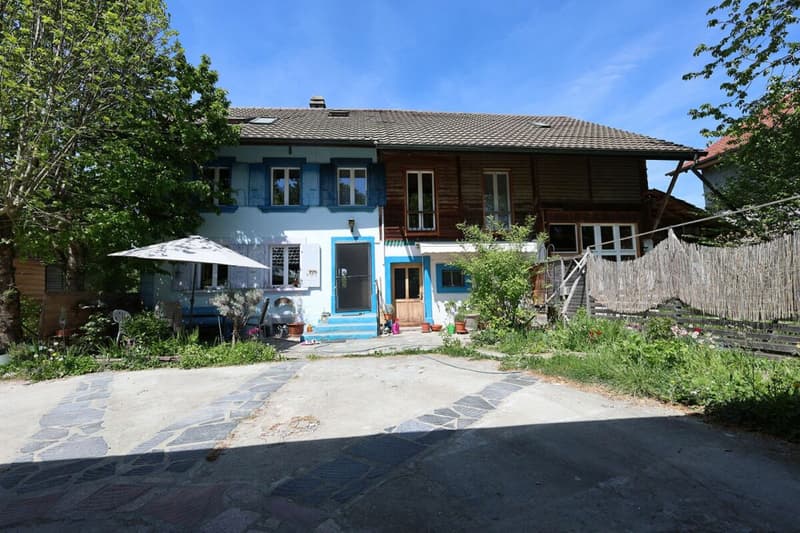 Exclusive - Charming 7.5 room house with 2'000 m2 plot (2)