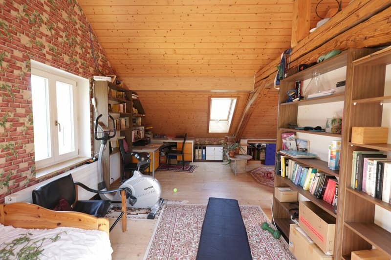 Exclusive - Charming 7.5 room house with 2'000 m2 plot (15)