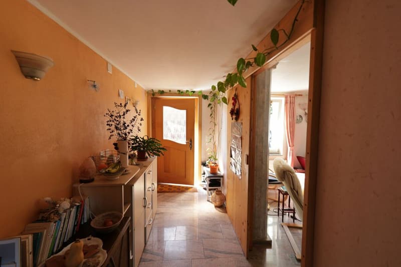 Exclusive - Charming 7.5 room house with 2'000 m2 plot (9)