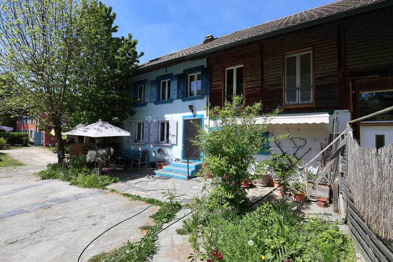Exclusive - Charming 7.5 room house with 2'000 m2 plot (3)