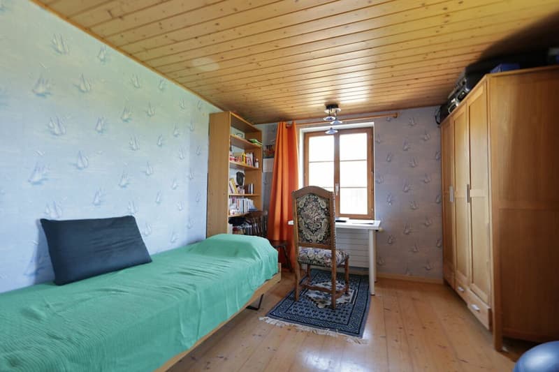 Exclusive - Charming 7.5 room house with 2'000 m2 plot (13)