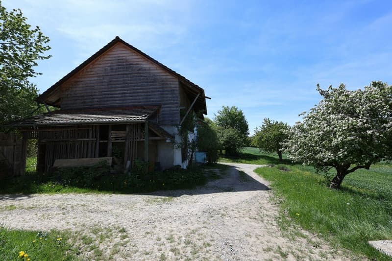Exclusive - Charming 7.5 room house with 2'000 m2 plot (7)