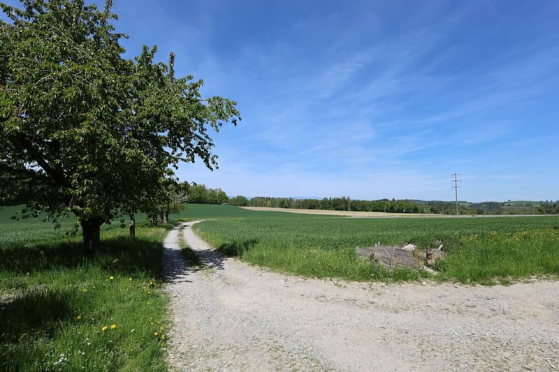 Exclusive - Charming 7.5 room house with 2'000 m2 plot (4)