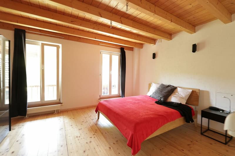 Exclusive - Charming 7.5 room house with 2'000 m2 plot (20)