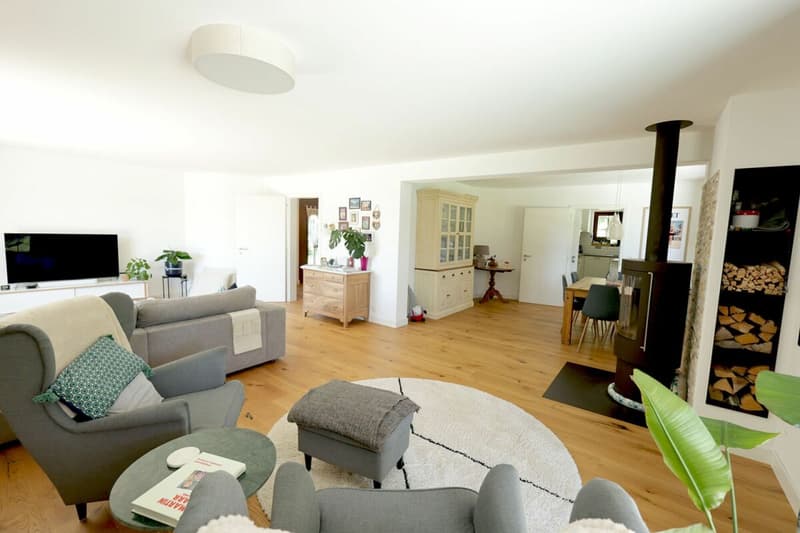 Beautiful renovated house with 7.5 rooms and outdoor pool (18)