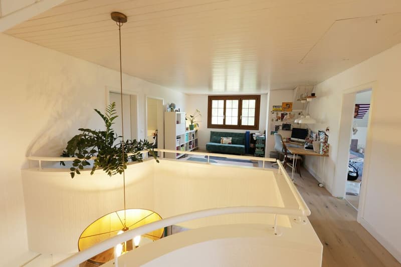 Beautiful renovated house with 7.5 rooms and outdoor pool (20)