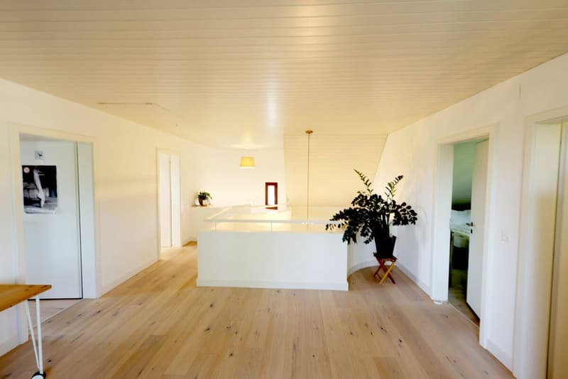 Beautiful renovated house with 7.5 rooms and outdoor pool (19)