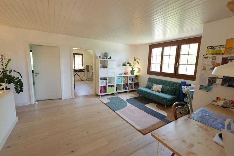 Beautiful renovated house with 7.5 rooms and outdoor pool (21)