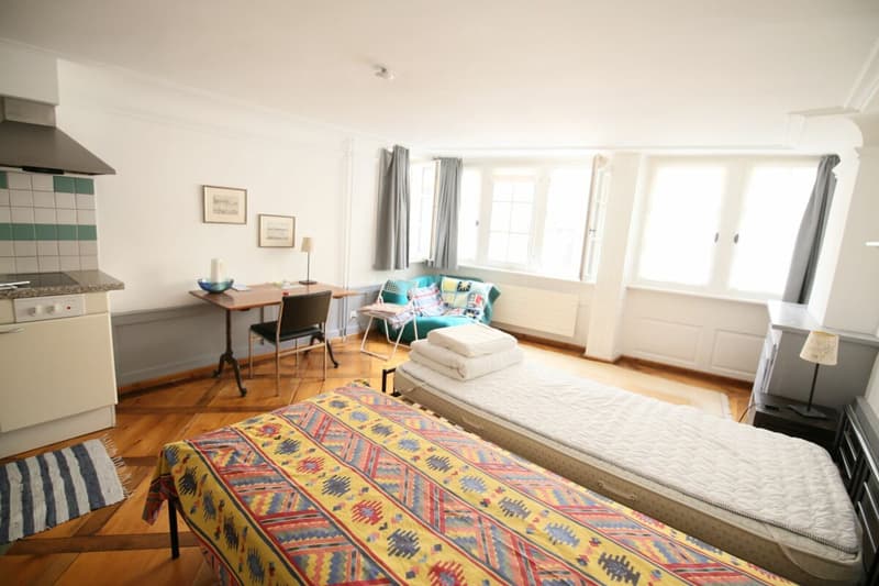 Charmant studio de 28 m2 situé au centre-ville (4)