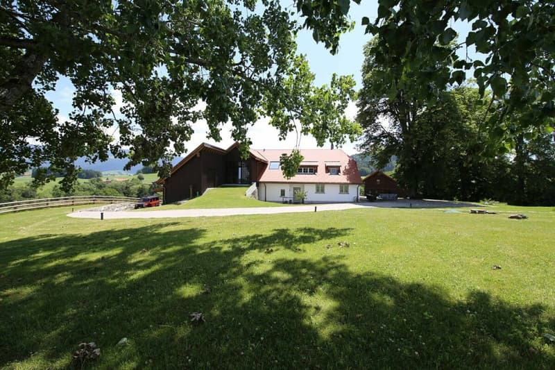 Villa individuelle 9 pièces à Rechthalten (2)