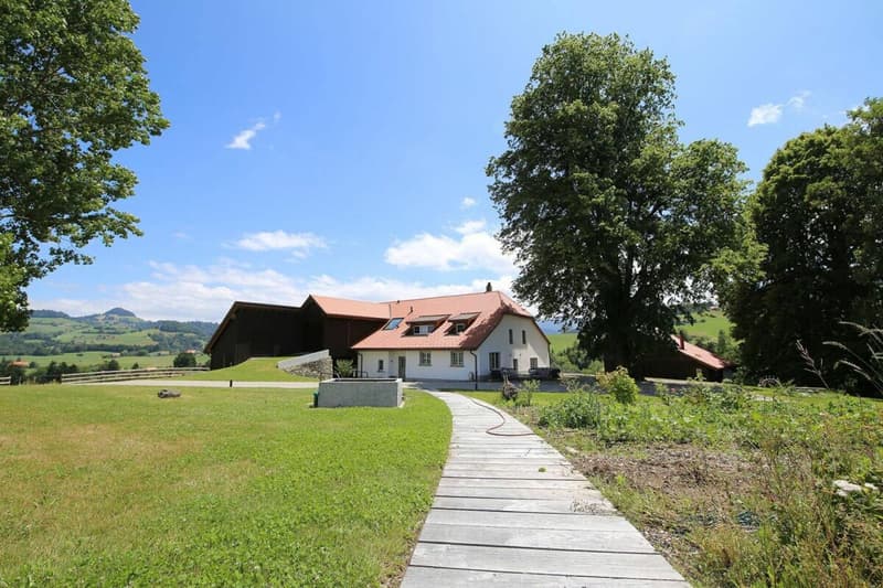 Villa individuelle 9 pièces à Rechthalten (9)
