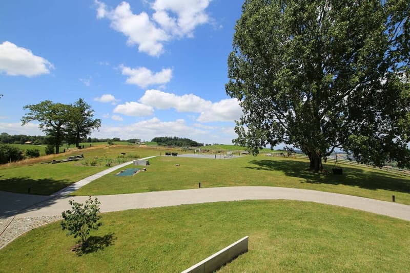 Villa individuelle 9 pièces à Rechthalten (4)