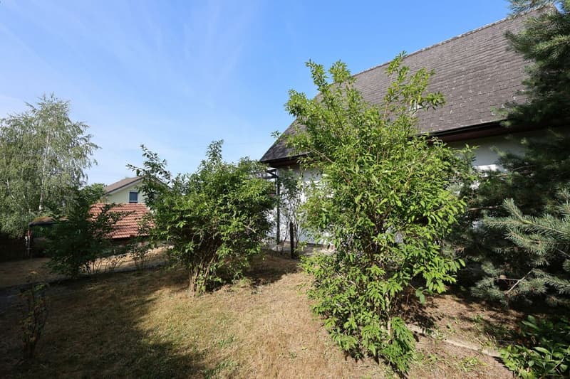 Maison de 4 pièces avec parcelle de 900 m2 - Idéale pour un couple (4)