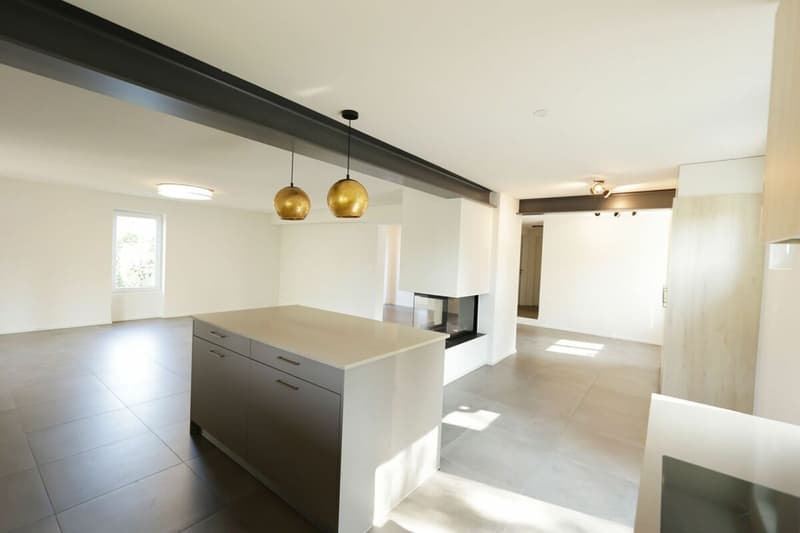 Maison de 4 pièces avec parcelle de 900 m2 - Idéale pour un couple (8)