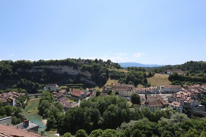 Spacieux logement de 4 pièces au dernier étage d'une immeuble historique (9)