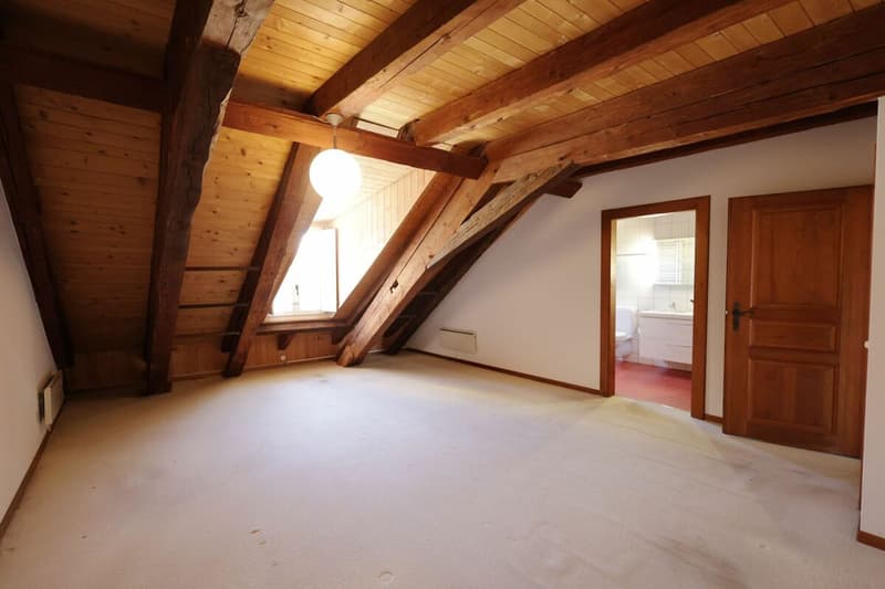 Spacieux logement de 4 pièces au dernier étage d'une immeuble historique (13)