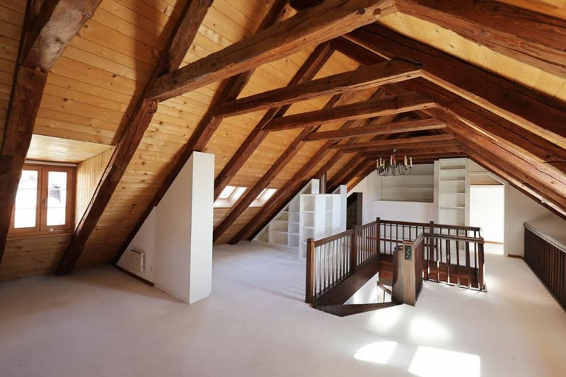 Spacieux logement de 4 pièces au dernier étage d'une immeuble historique (7)
