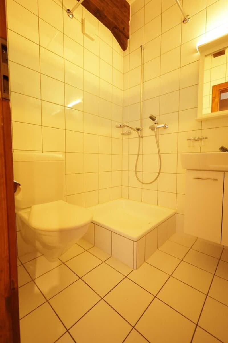 Spacieux logement de 4 pièces au dernier étage d'une immeuble historique (11)