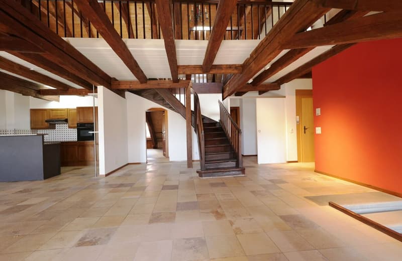 Spacieux logement de 4 pièces au dernier étage d'une immeuble historique (3)