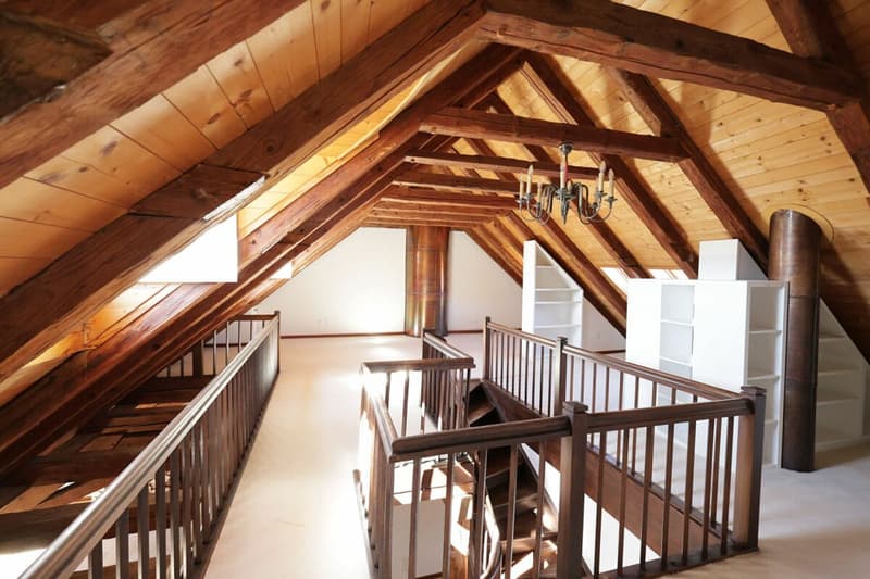 Spacieux logement de 4 pièces au dernier étage d'une immeuble historique (8)