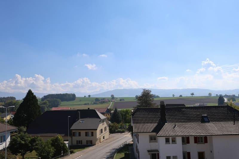 Demeure de caractère avec parc de 2'600 m2 de terrain (16)