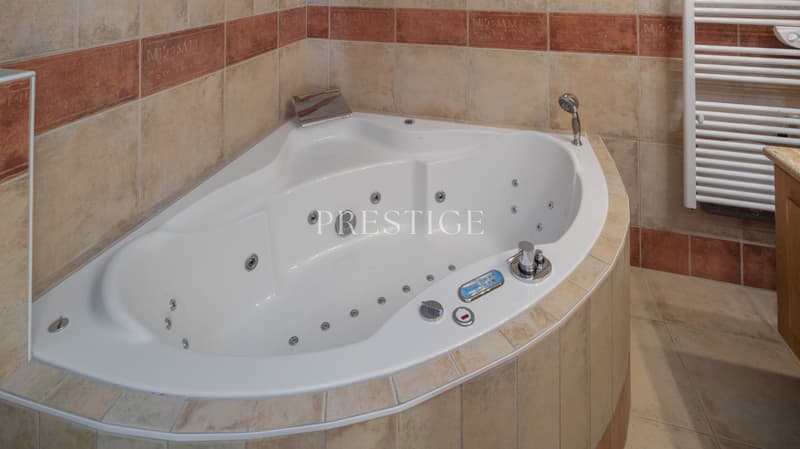oval shaped jacuzzi, tiled walls, control panel, water jets, shower head