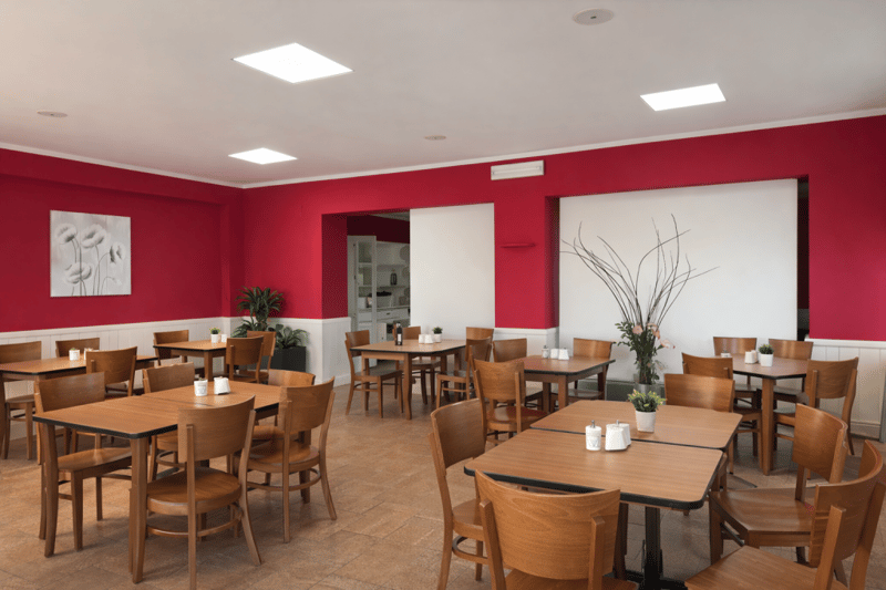 Wooden tables and chairs, red walls, white ceiling, plants on tables
