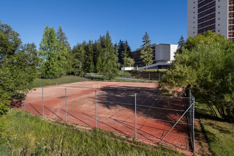 3.5pces en SI avec vue panoramique sur les montagnes – Crans-Montana (22)