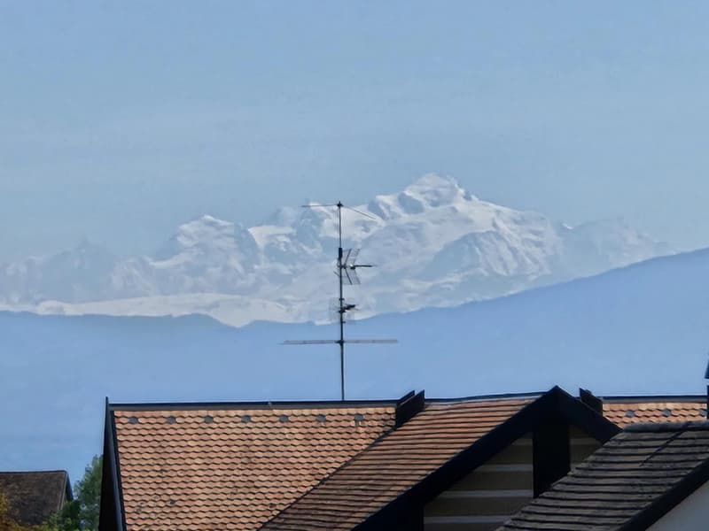 Appartement au calme avec vue sur les alpes et le Mont-Blanc (1)