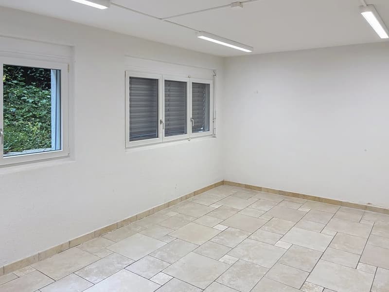 Uffici moderni in affitto a Pully (4)