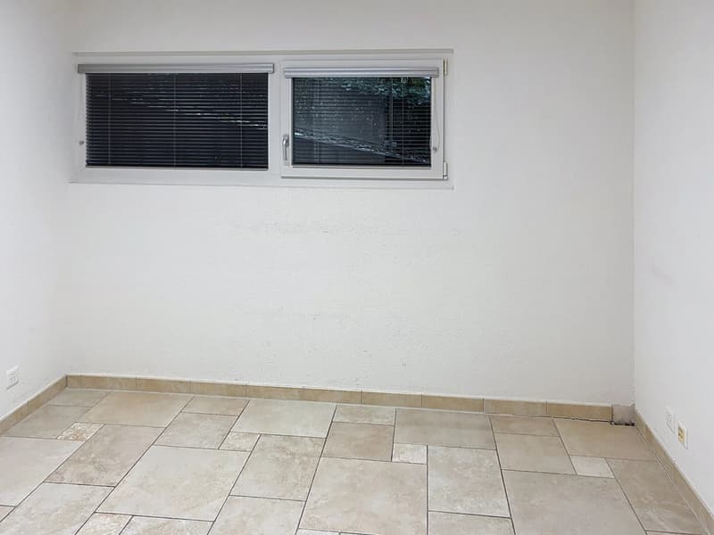 Uffici moderni in affitto a Pully (5)