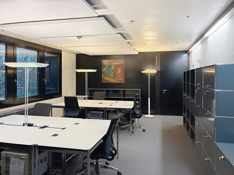 Furnished office of 38 m² ? Mies (FIBA - International Basketball Federation) (4)