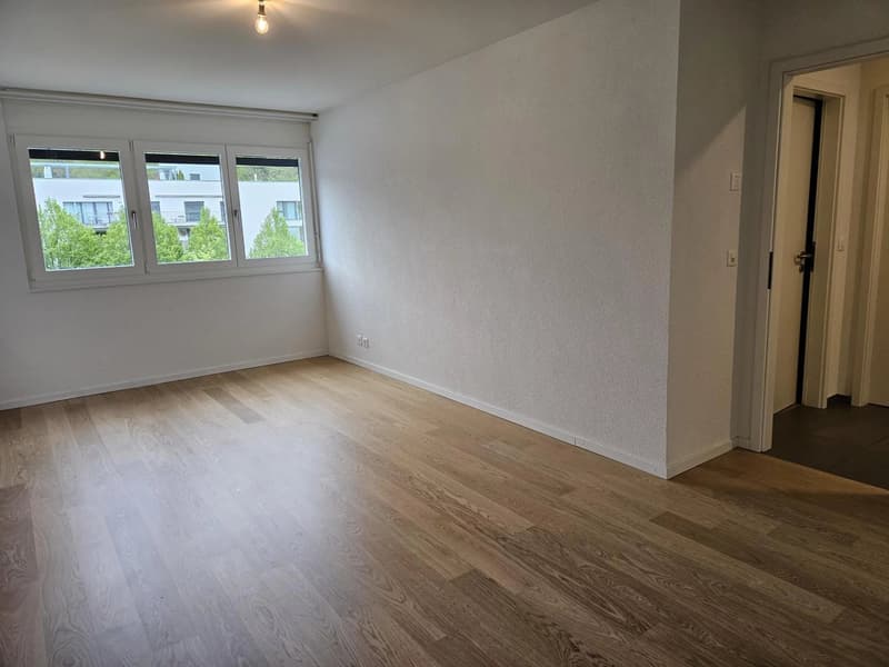 Bel appartement contemporain de 3.5 pièces avec balcon (5)