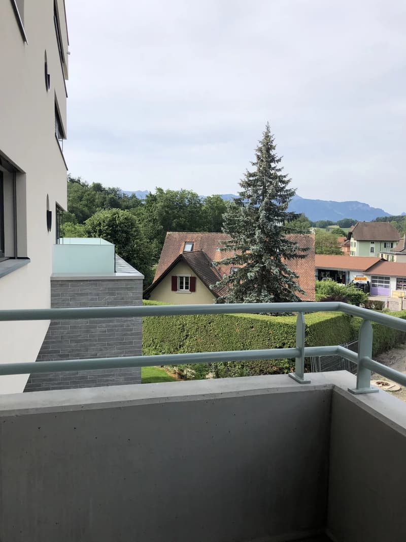 Bel appartement contemporain de 3.5 pièces avec balcon (9)