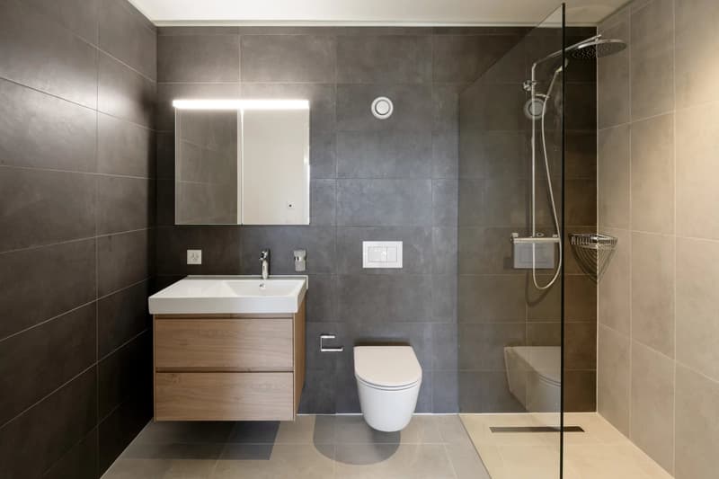 New 2.5-room apartment in Ecublens 62 m² - www.mapraz-parc.ch (5)