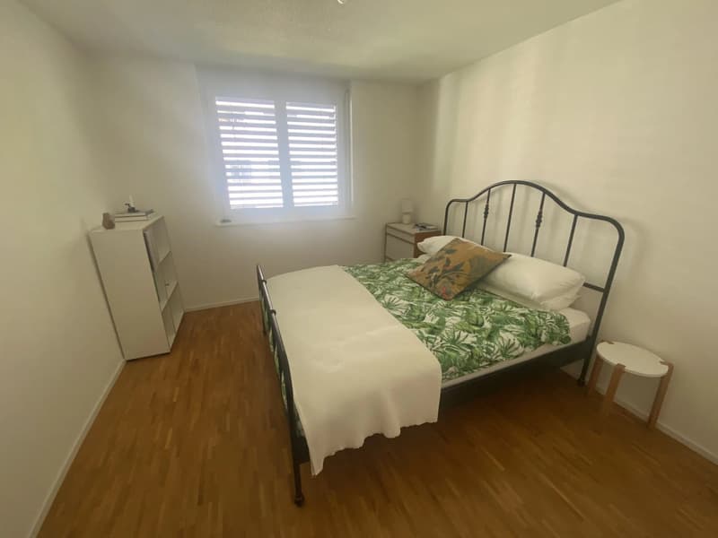 Appartement de 3.5 pièces avec balcon (5)